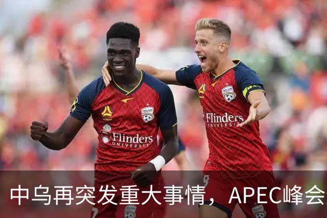 中乌再突发重大事情，APEC峰会还没正式开幕，停战最佳方案已出？
