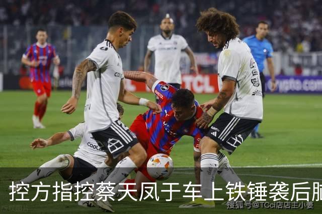 控方指控蔡天凤于车上铁锤袭后脑，锤柄检出DNA 锤头未见人体组织